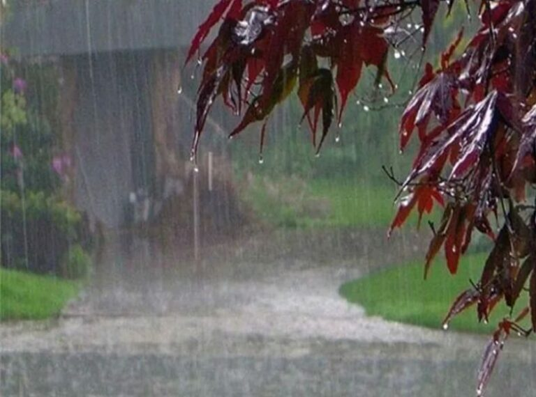 आज छत्तीसगढ़ सहित 11 राज्यों के लिए अलर्ट जारी, अगले सप्ताह भी बारिश से नहीं मिलेगी राहत