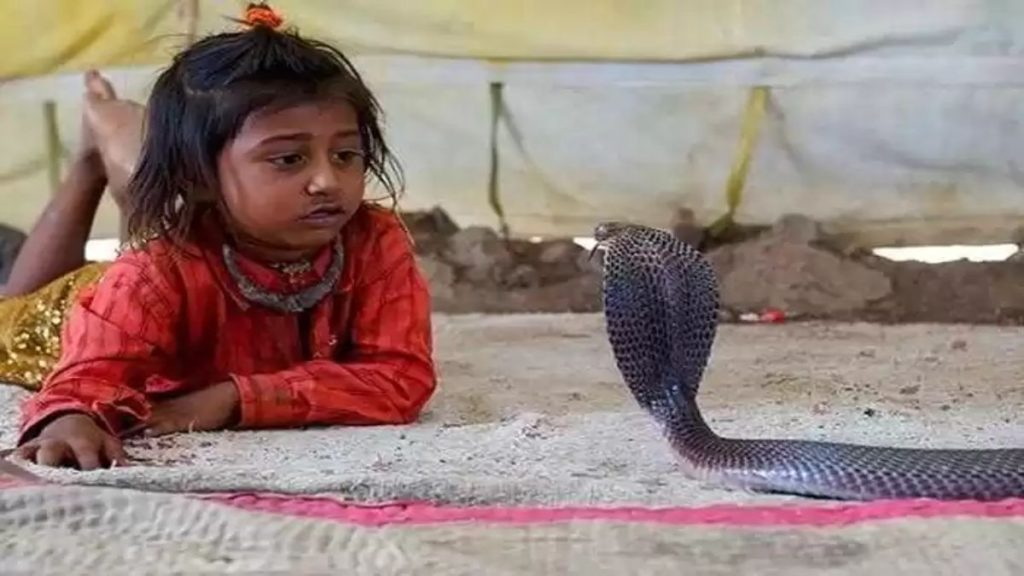 एक ऐसा रहस्यमयी गांव जहां कुत्ता या बिल्ली नहीं बल्कि पाले जाते हैं कोबरा सांप, मानते हैं उन्हें भगवान शिव का प्रतीक…