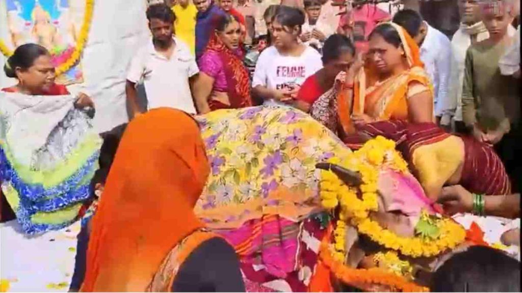बाजे-गाजे के साथ मृत गाय की निकाली अंतिम यात्रा, नम आंखों से लोगों ने दी विदाई, देखें VIDEO